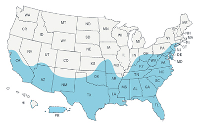 zika_map_names_aedes_aegypti