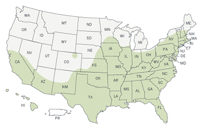zika_map_names_aedes_albopictus